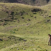 BergËre avec sa canne et son sac ‡ dos, en montagne dans les Alpes, avec son troupeau de brebis. Plan large, la bergËre regarde l'appareil photo. Pas de chien de berger visible.