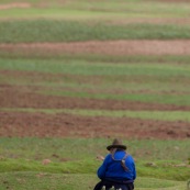 Paysanne peruvienne assise au bord de ses champs, de dos. Pérou.