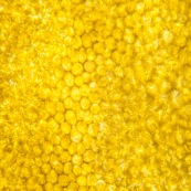 Cellules d'un pétale de fleur jaune or composition graphique flore au microscope tableau végétal
