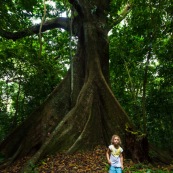Petite fille et gros arbre - Guyane - Ilet la mère enfant. Foret tropicale amazonienne.  Enfant.