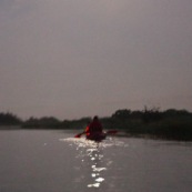 Marais de Kaw en Guyane au leve du soleil. En canoe et en kayaks. Lune en arriere plan.