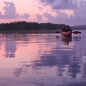 Marais de Kaw en Guyane au leve du soleil. En canoe et en kayaks.