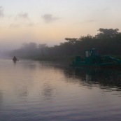 Marais de kaw en Guyane au lever du soleil. En canoe et kayak. Tourisme. Touristes.