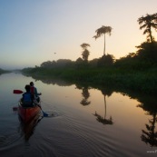 Marais de kaw en Guyane au lever du soleil. En canoe et kayak. Tourisme. Touristes.