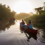 Marais de kaw en Guyane au lever du soleil. En canoe et kayak. Tourisme. Touristes.