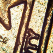 Pièce de 50 centimes au microscope