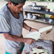 Decoupe du manioc (cramagnoc) dans un carbet en foret. Perou. Dans la cuisine.