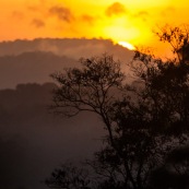 Saul au petit matin (lever du soleil) depuis le belvedere. Brume.  En foret tropicale amazonienne.  Parc amazonien de Guyane. Vue sur la canpee.