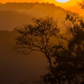 Saul au petit matin (lever du soleil) depuis le belvedere. Brume.  En foret tropicale amazonienne.  Parc amazonien de Guyane. Vue sur la canpee.