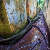 Ile Saint Joseph : bagne - Photographe Guyane - Iles du Salut