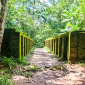 Bagne des Annamites - Montsinéry - Guyane