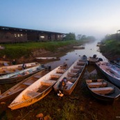 Marais de Kaw - Guyane