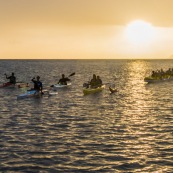 Va'a. Pirogue polynésienne. Surfskis. Course en mer en Guyane. Plage de Rémire Montjoly. Ocean race : cayenne pepper cup. Entrainement à la rame. Plusieurs embarcations.