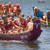 Pirogue Maitre de la pagaie