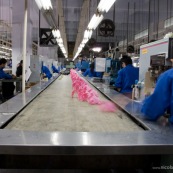 Usine chinoise de fabrication de rollers. Ouvriers a la chaine, en train d'assembler des pieces plastiques de rollers (cuffs roses) sur tapis roulant. Chine, Shenzhen, usine du monde. Travail plus de 70 heures par semaine, a faible couts, pour utilisation des produits par les pays "riches".