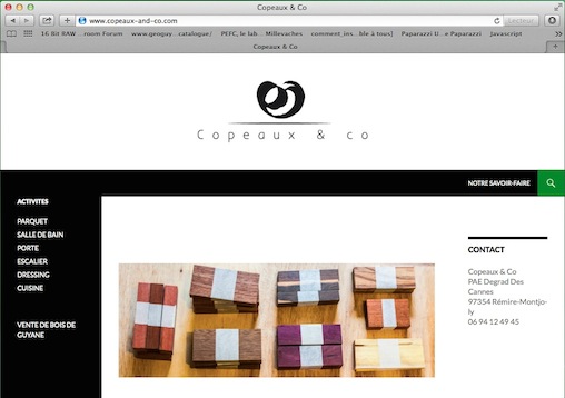 SiteWeb_creer