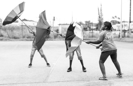 « de l’Art dans le Vent » : projet photographique avec la classe ULIS de l’école Bernude de Cayenne