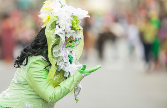 Carnaval : Parade de Cayenne 2019