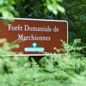 Panneau de signalisation de la forÍt domaniale de Marchiennes, gÈrÈes par l'ONF.