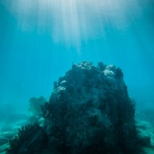 Fond sous-marin en Guadeloupe (environs de basse-terre).