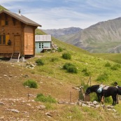 Berger et son cheval de retour ‡ la cabane, avec les provisions de la semaine. Vue de la cabane, en haut de la montagne, le cheval se rÈhydrate ‡ la source. Vue de l'ancienne cabane derriËre la cabane rÈcente. Enclos ‡ brebis devant.