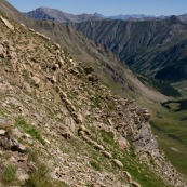 Troupeau de brebis en pleine montagne, grimpant vers les crÍtes, passage technique hors chemin, hors sentier. Brebis en ligne en train de grimper.