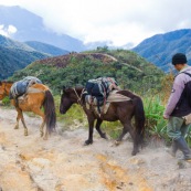 Descente des Andes