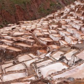 Terrasses des salineras de Maras. Une personne remplie des sacs de sel. Exploitation de sel. L'eau d'une source riche en sel est guidée dans les terrasses, l'eau s'évapore, reste le sel. Balcons. Pérou.