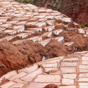 Terrasses des salineras de Maras. Une personne remplie des sacs de sel. Exploitation de sel. L'eau d'une source riche en sel est guidée dans les terrasses, l'eau s'évapore, reste le sel. Balcons. Pérou.