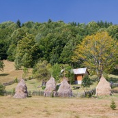 Maison en bordure de forÍt dans la campagne roumaine. Petit enclos en bois, et meules de foins ‡ l'ancienne. Famille se reposant au soleil dans le jardin. Roumanie.