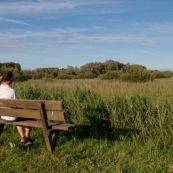 Personne assise sur un banc, observant les marais de Guines, en soirÈe.