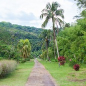 Arivée à Ouanary Guyane.