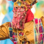 Carnaval de Guyane. Parade de Kourou 2017. Deguisement. Touloulou. Masques. Costumes. Marionnettes. Diables rouges. Noir marron. Neg marron. Balayeuses.