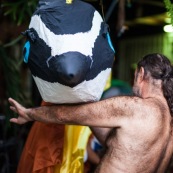 Carnaval en Guyane. Petite séance photos avant la parade du littoral de Kourou, dans les coulisses de la troupe Siliko qui prépare activement ce carnaval 2016. Chaque semaine, ils construisent de nouveaux costumes.  Les petites mains s’activent de tous les cotés pour la fabrication d’immenses marionnettes sur le thèmes des animaux. Mouton paresseux, Iguane, Jaguar, Caniche, Zébu…