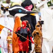 Carnaval de Guyane. Parade du littoral à Kourou. Deguisement. Touloulou. Masques. Costumes. Marionnettes. Diables rouges. Noir marron. Neg marron. Balayseuses.