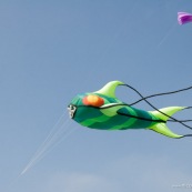 Cerf-volant. Rencontres Internationales de Cerfs-Volants de Berck sur Mer 2007. Cerfs-volant reprÈsentant des poissons, en vol dans le ciel. Cerf-Volant. Mer