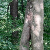 Arbre en forme d'homme