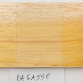 Bagassa guianensis