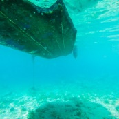 Fonds sous-marin de Guadeloupe.  Vue sous-marine. Sous l'eau. Plongee. Snorkeling. Coque de bateau.