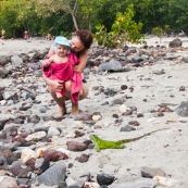 Guadeloupe. Tourisme. Sur la plage au bord de la mer. Femme et son bebe en train d'observer un iguane. Iguana iguana. Iguane vert. Iguane commun. Enfant.