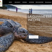 GuyaneAmazonie3