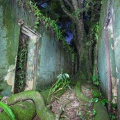 Guyane. Vestiges du bagne. Iles du salut. Ruines, cellules, prison, nature ayant repris ses droits. De nuit. Sur l'ile saint joseph.