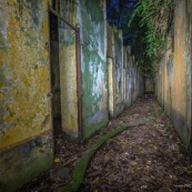 Guyane. Vestiges du bagne. Iles du salut. Ruines, cellules, prison, nature ayant repris ses droits. De nuit. Sur l'ile saint joseph.