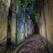 Guyane. Vestiges du bagne. Iles du salut. Ruines, cellules, prison, nature ayant repris ses droits. De nuit. Sur l'ile saint joseph.