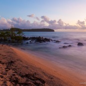 Guyane. Iles du salut. Sur l'ile saint joseph. PLage avec eau transparente et cocotiers.