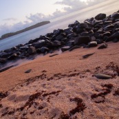 Guyane. Iles du salut. Sur l'ile saint joseph. PLage avec eau transparente et cocotiers. Vue sur l'ile du diable.