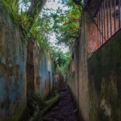 Guyane. Iles du salut. Sur l'ile saint joseph. Dans le bagne, cellules prison, nature ayant repris ses droits.  Avec des fantomes.