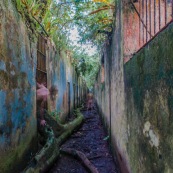 Guyane. Iles du salut. Sur l'ile saint joseph. Dans le bagne, cellules prison, nature ayant repris ses droits.  Avec des fantomes.