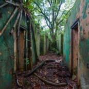 Guyane. Iles du salut. Sur l'ile saint joseph. Dans le bagne, cellules prison, nature ayant repris ses droits.