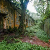 Guyane. Iles du salut. Sur l'ile saint joseph. Dans le bagne, cellules prison, nature ayant repris ses droits.